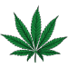 Halifax Smokeshop