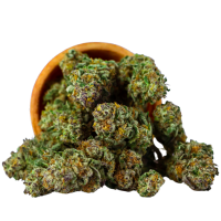 Cannabis Delivery Halifax
