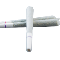 Pre-Rolls Halifax